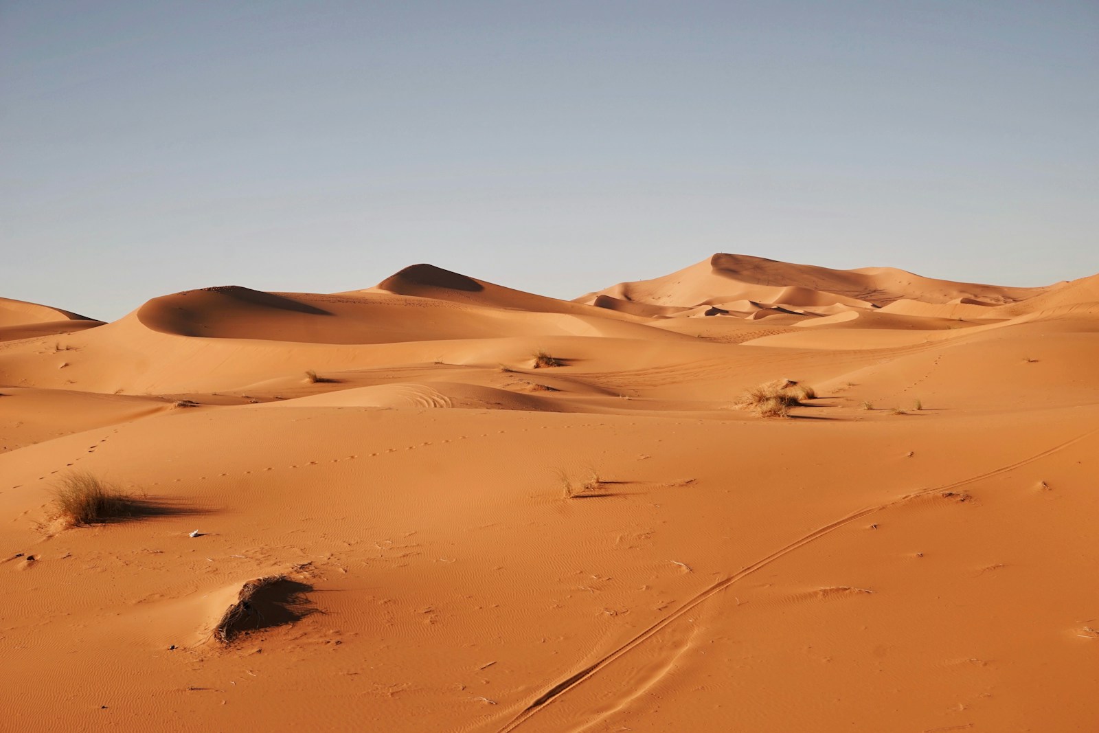 les dunes du Sahara