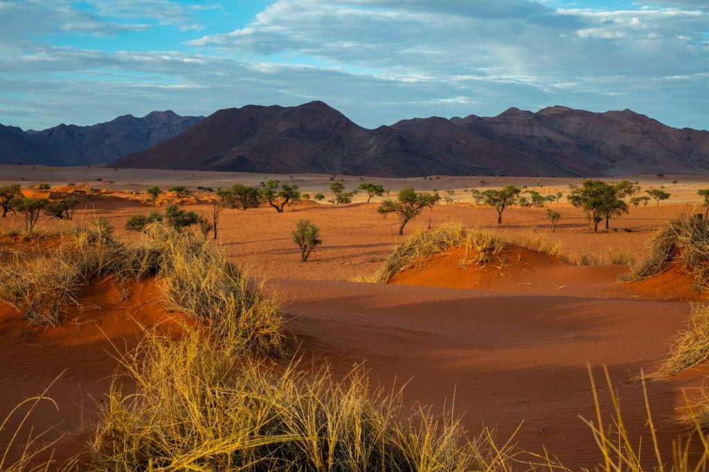 autotour en namibie