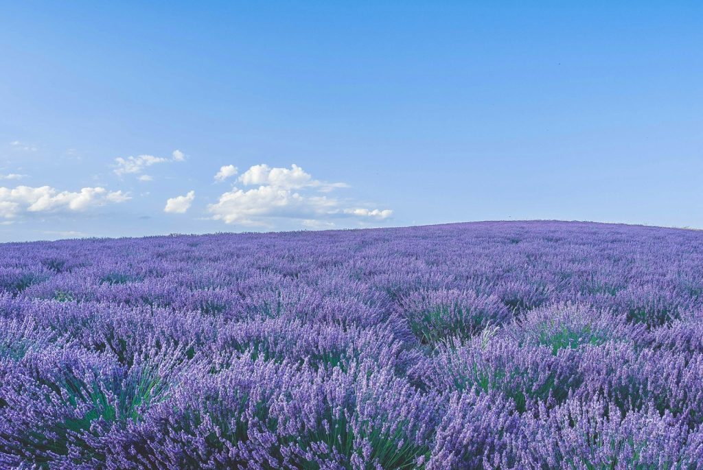 la Provence à velo