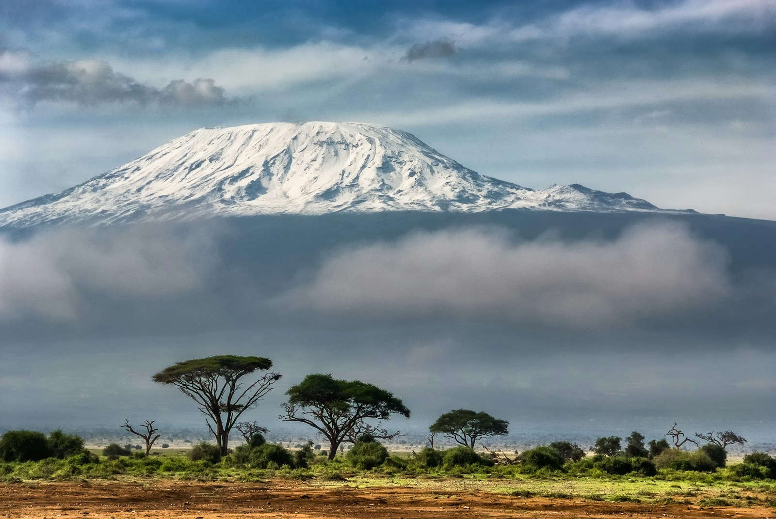 Ascension du Kilimandjaro : le défi ultime pour les amoureux de la montagne