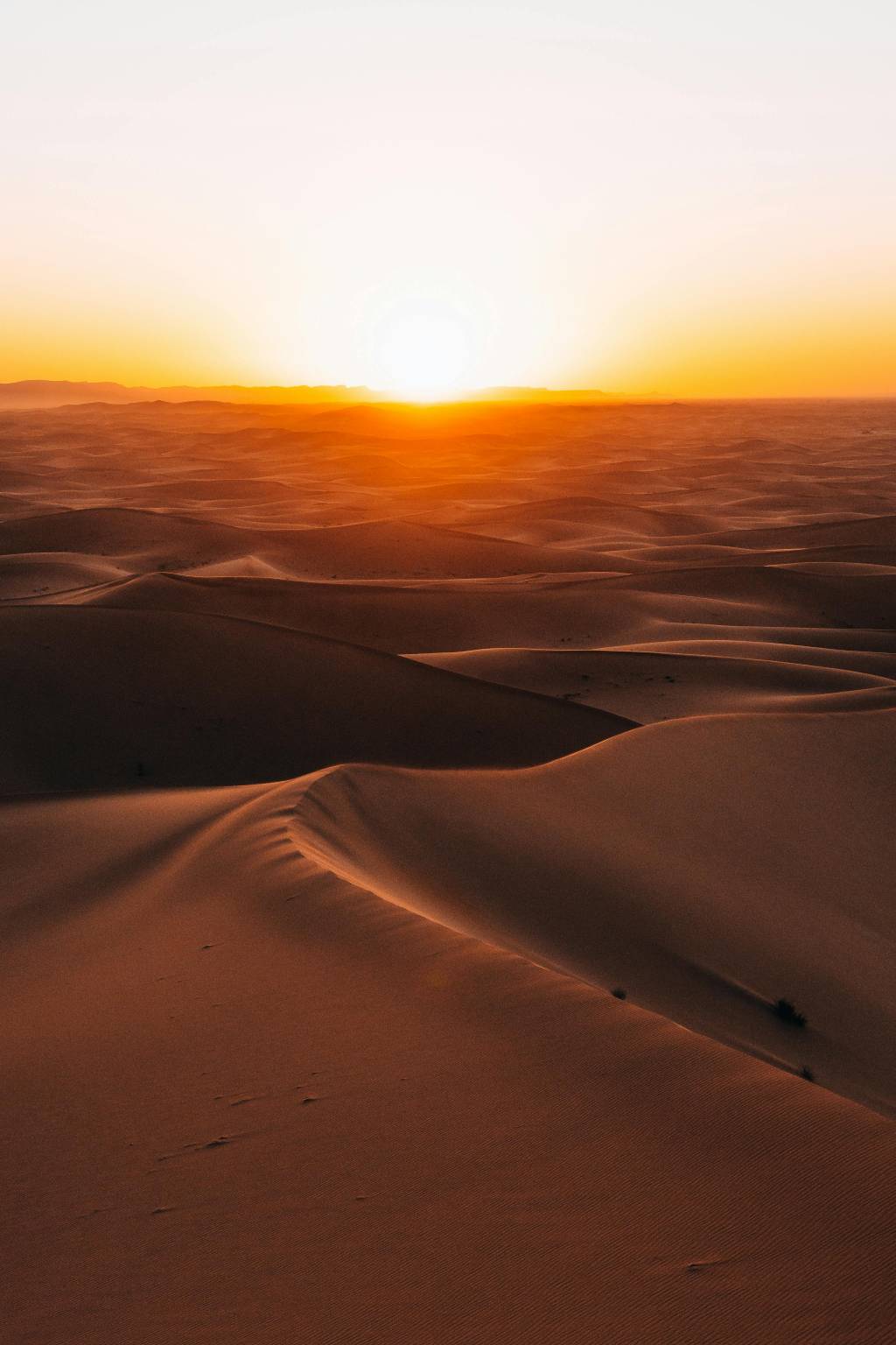 Sefar Algérie : un voyage au cœur des mystères du Sahara